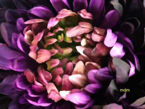download lagu mp3 mp4 Mijaleo Online, download lagu Mijaleo Online gratis, unduh video klip Mijaleo Online