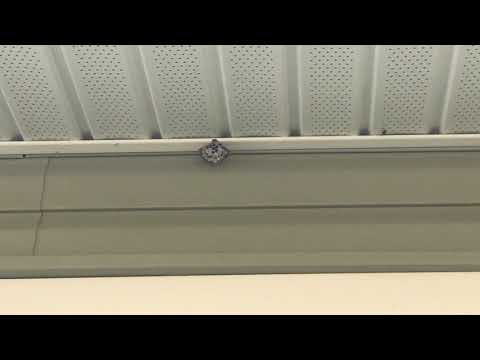 Removing a Yellow Jackets Nest in Freehold, NJ