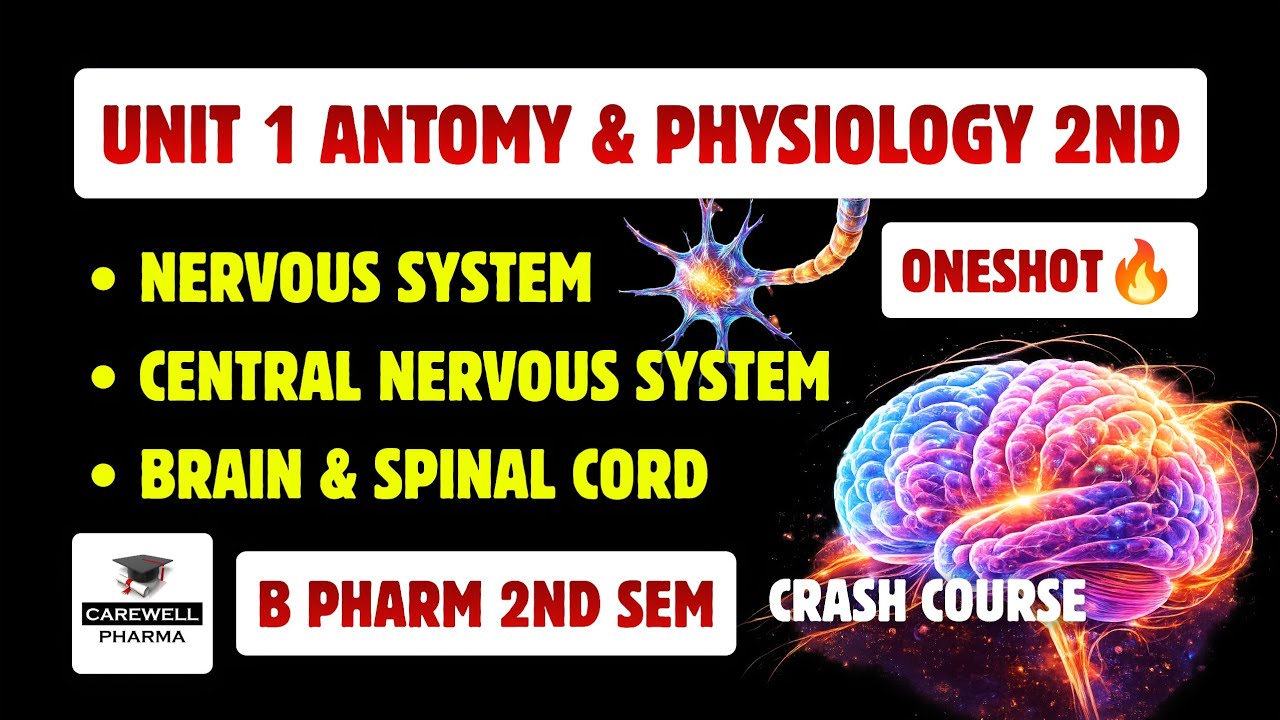 Unit 1 Hap 2nd Semester | Nervous System | CNS | brain | Spinal Cord