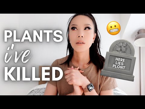 Plants I've killed and how I killed them 🥲🥀