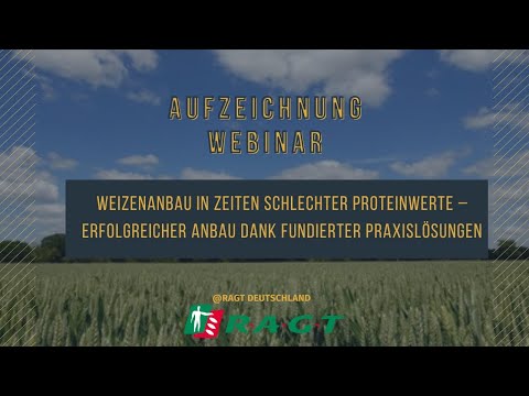 Weizenanbau in Zeiten schlechter Proteinwerte – Erfolgreicher Anbau dank fundierter Praxislösungen