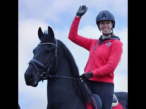 Stal Okkema's Fedde - Thorben x Feitse - gelding - 1.61m - 2017