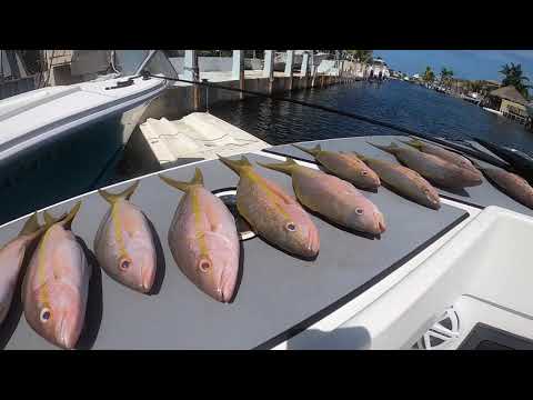 Key Largo Reef Fishing