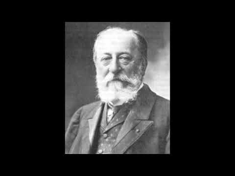 Camille Saint-Saëns-The carnival of the animals-The Swan( 1 hour )
