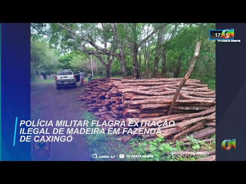 Polícia Militar flagra extração ilegal de madeira em fazenda de Caxingó