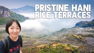 HaNi rice terraces, YuanYang, HongHe, YunNan province