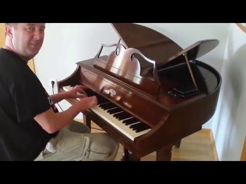 Blessing of a Wurlitzer 270 Baby Electric Grand (Butterfly)