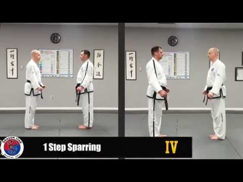 Step Sparring #20 - Black Belt IV DAN (1 Step Sparring)