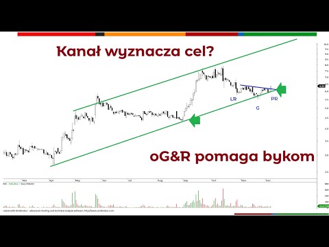 Polimex wraca do gry? 100s z Piotrem Neidkiem