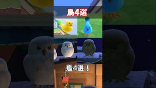 鳥４選 【あつ森】@ほのげ