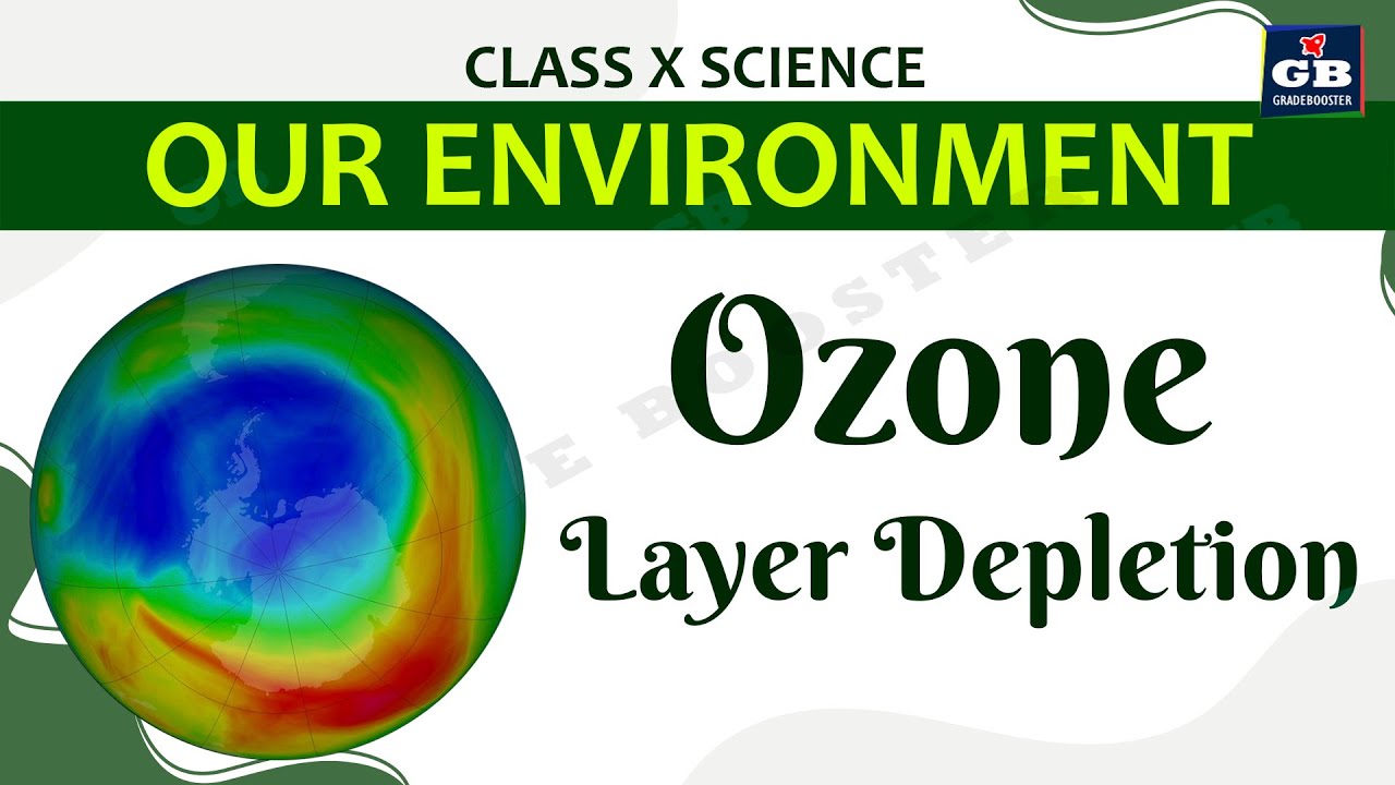 Our Environment Part-4 | CBSE Class 10 Science (Biology) Explanation | ecosystem | NCERT