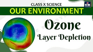 Our Environment Part-4 | CBSE Class 10 Science (Biology) Explanation | ecosystem | NCERT