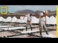 Ever Wonder How Sea Salt Is Made? Find Out Here | National Geographic