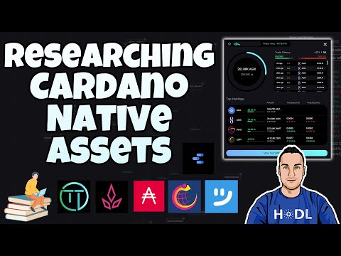 Tools For Researching Cardano Projects - Cardano Native Assets