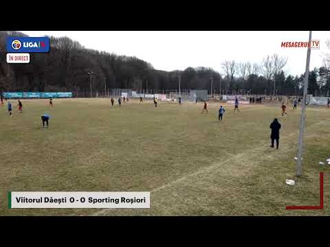Mesagerul TV - Meci de fotbal: Viitorul Daești - Sporting Roșiori