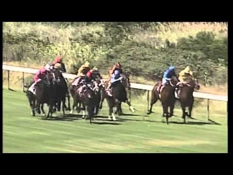 Mother Russia   TBA Paddock Stakes