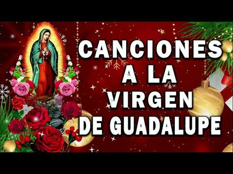 Morning songs and hymns to the Virgin of Guadalupe