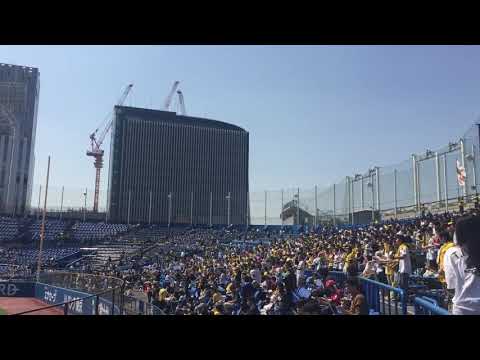 機械情報工学科 2019/3/20神宮球場阪神タイガース試合前1-9