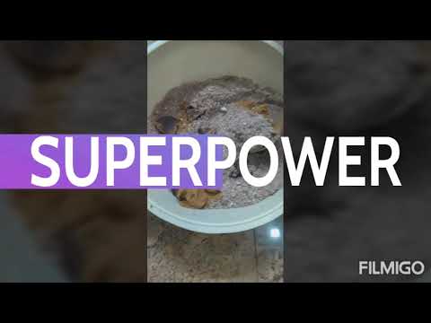 Chocolate ice cream 🍧🍧🍧