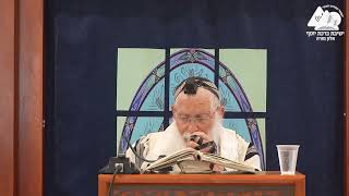 האם לילה זמן תפילין | הרב אליקים לבנון | הלכות תפילין | 23 (ישיבת ברכת יוסף - אלון מורה) - התמונה מוצגת ישירות מתוך אתר האינטרנט יוטיוב. זכויות היוצרים בתמונה שייכות ליוצרה. קישור קרדיט למקור התוכן נמצא בתוך דף הסרטון האם לילה זמן תפילין | הרב אליקים לבנון | הלכות תפילין | 23 (ישיבת ברכת יוסף - אלון מורה) - התמונה מוצגת ישירות מתוך אתר האינטרנט יוטיוב. זכויות היוצרים בתמונה שייכות ליוצרה. קישור קרדיט למקור התוכן נמצא בתוך דף הסרטון