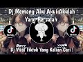 DJ MEMANG AKU AKUI AKULAH YANG BERSALAH DJ LUKA SEKARAT RASA VIRAL TIKTOK TERBARU 2025