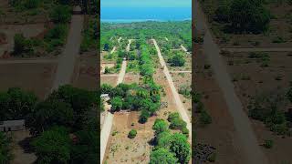 Vipingo plots