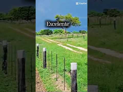 Fazenda em Itaguaçu da Bahia