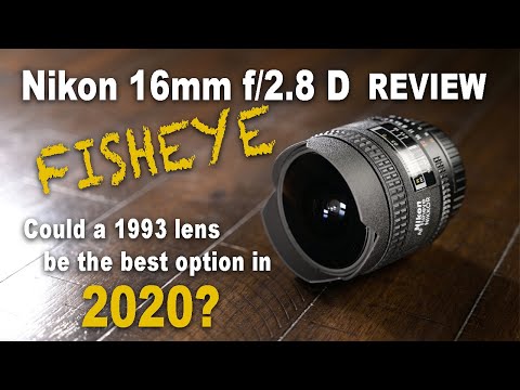 Video thumbnail for Video Review 1