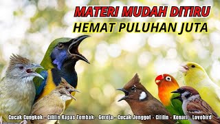 Download lagu MASTERAN AMPUH MUDAH DITIRU UNTUK BURUNG FIGHTER - 24 JAM NONSTOP mp3
