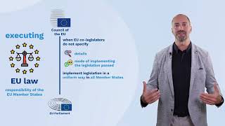 Demystifying comitology - understanding the EU's regulatory decision-m