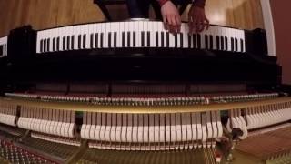 Holly Bowling: Sage &amp; Spirit