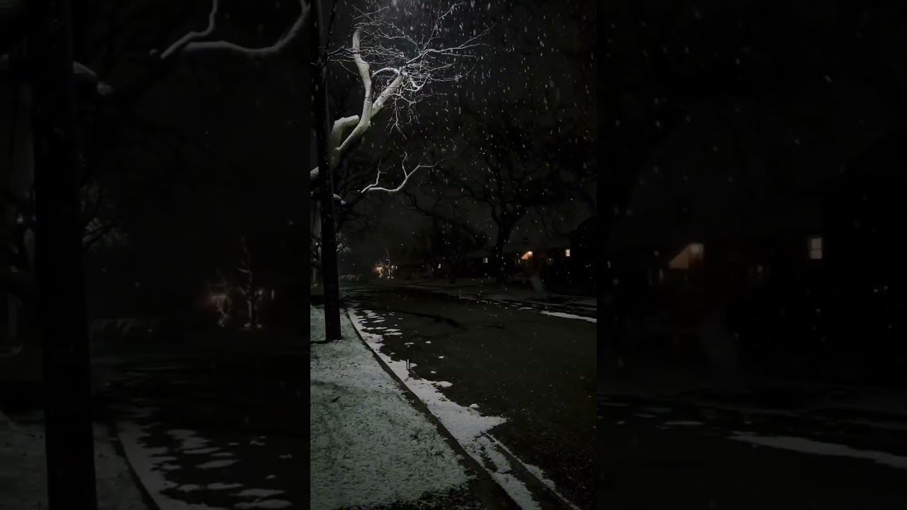 Learn the difference 🤍 #love #like #difference #motivation #inspiration #quotes #shorts