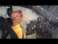 Web extra: The role crash dummies play in crash safety research