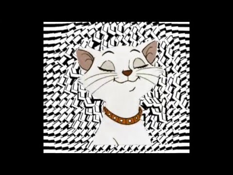 Swallow X  - Domainless (Music Video)