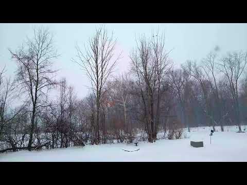 Snowy day in Ft. Wayne, Indiana on 1/24/2022