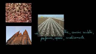 Compușii organici în alimentație 