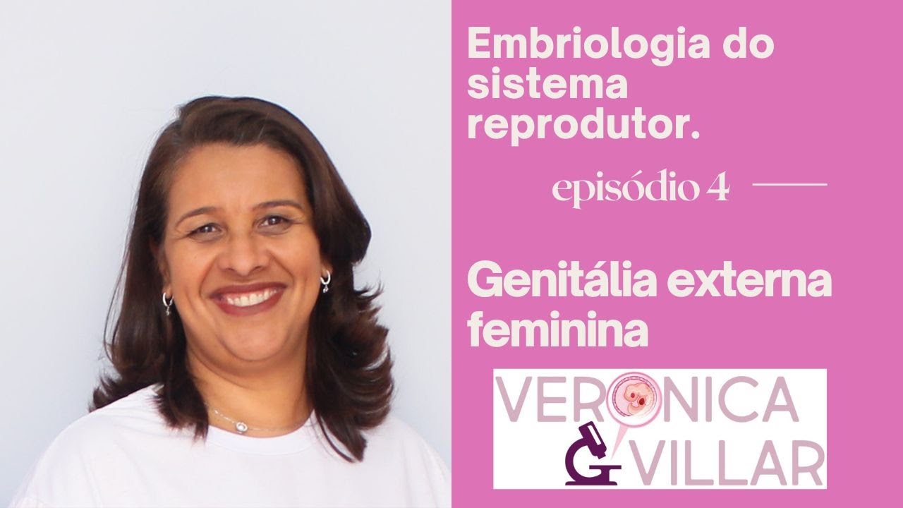 Embriologia do sistema reprodutor. Genitália externa feminina.