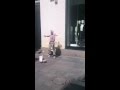 New Kind Of Dance Sarajevo Must Watch D