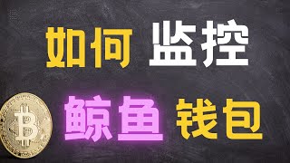 如何监控鲸鱼钱包？手把手教你追踪 Hyperliquid 砸盘巨鲸