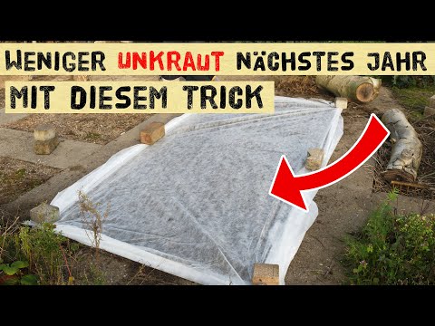 Weniger Unkraut im Garten mit diesem Trick! Süßkartoffelernte und Kiwano. Gartentipps im Herbst.