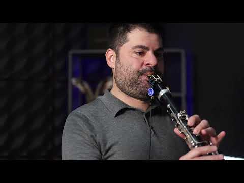 Clarinet Microphone Nalbantov NCM 622 SC set for Buffet Crampon Premium image 2