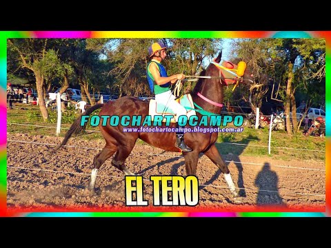 EL TERO - Santa Sylvina - Chaco 31/03/2024