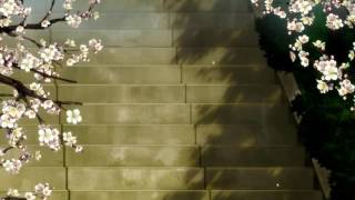 Elia Perrone and Gigi Masin - Garden Blues Niro Love Mum Remix - Unclear Records.