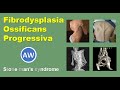 Fibrodysplasia Ossificans Progressiva || Anatomy Weekly Episode - 26