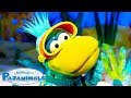 Lots Of Pajanimals 1 Hours Of Cartoons For Kids Pajanimals