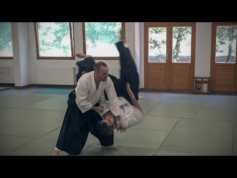 Aikido: Stephane Goffin Summer-Seminar 2014