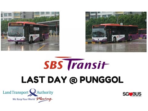 SBS Transit Last Day @ Punggol! (Part 1) | 1080p HD