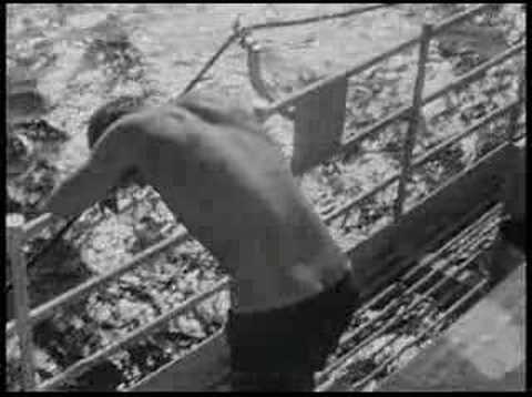 HMS Eagle at Standeasy