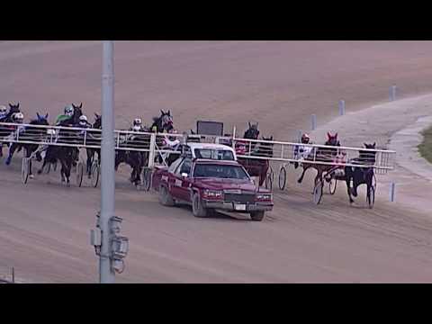 Aversa trotto 15 Gennaio 2020 - 4° corsa