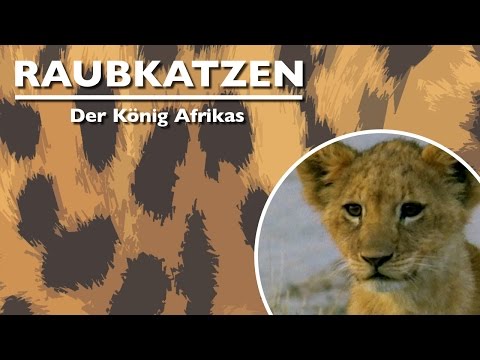 Der König Afrikas (2010) [Dokumentation] | Film (deutsch)